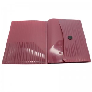 A4 Size PP Plastic Button Document Bag для школы и офиса